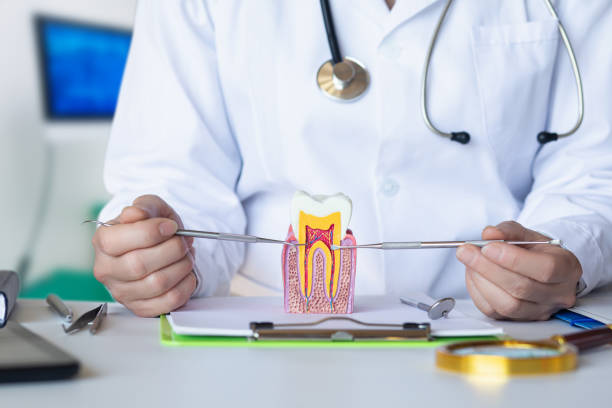 Best Cosmetic Emergency Dentistry in Springfield, OH